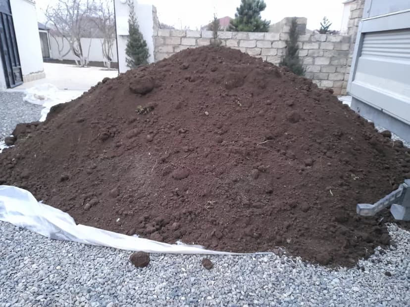 Qara torpaq ve peyin