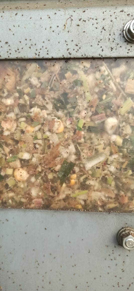 Qarğıdalı Silosu