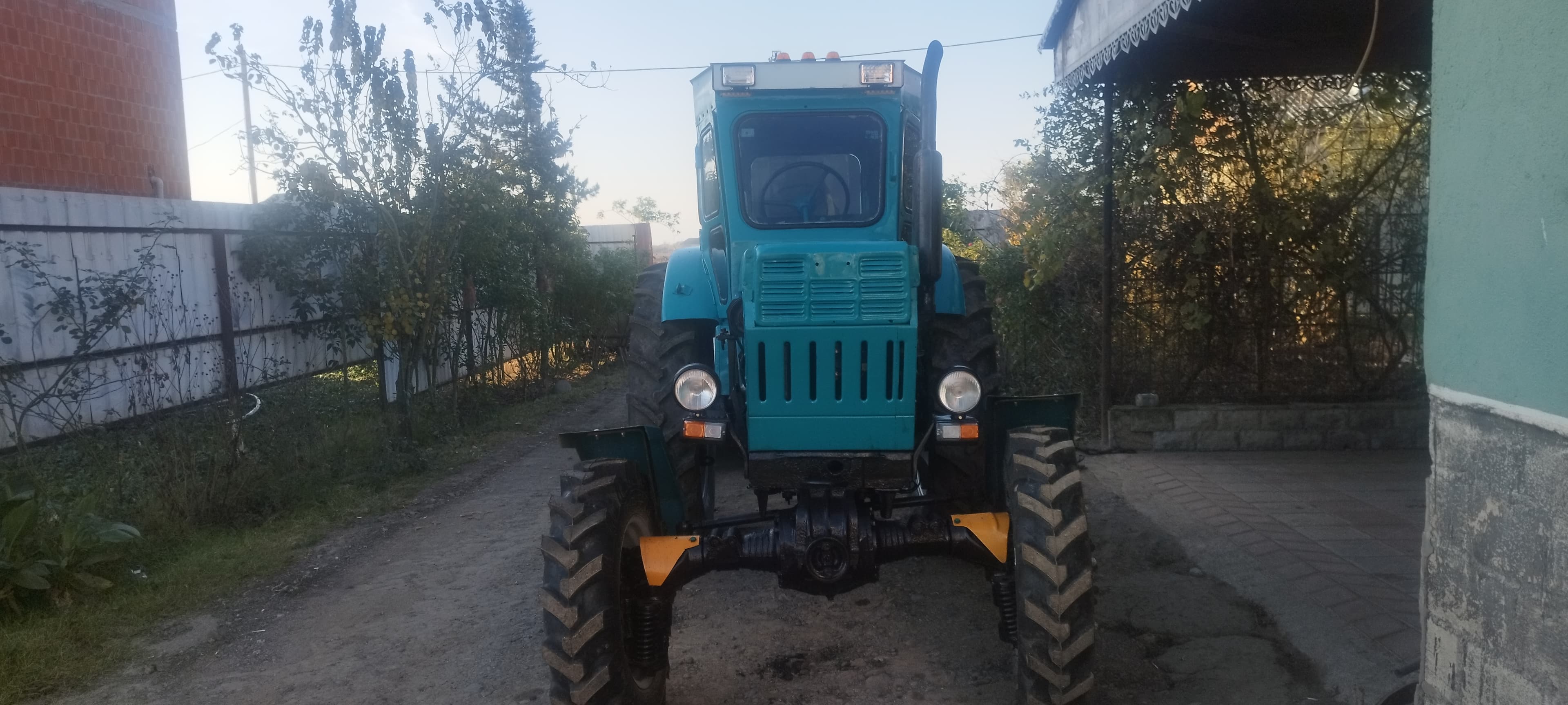 T 40