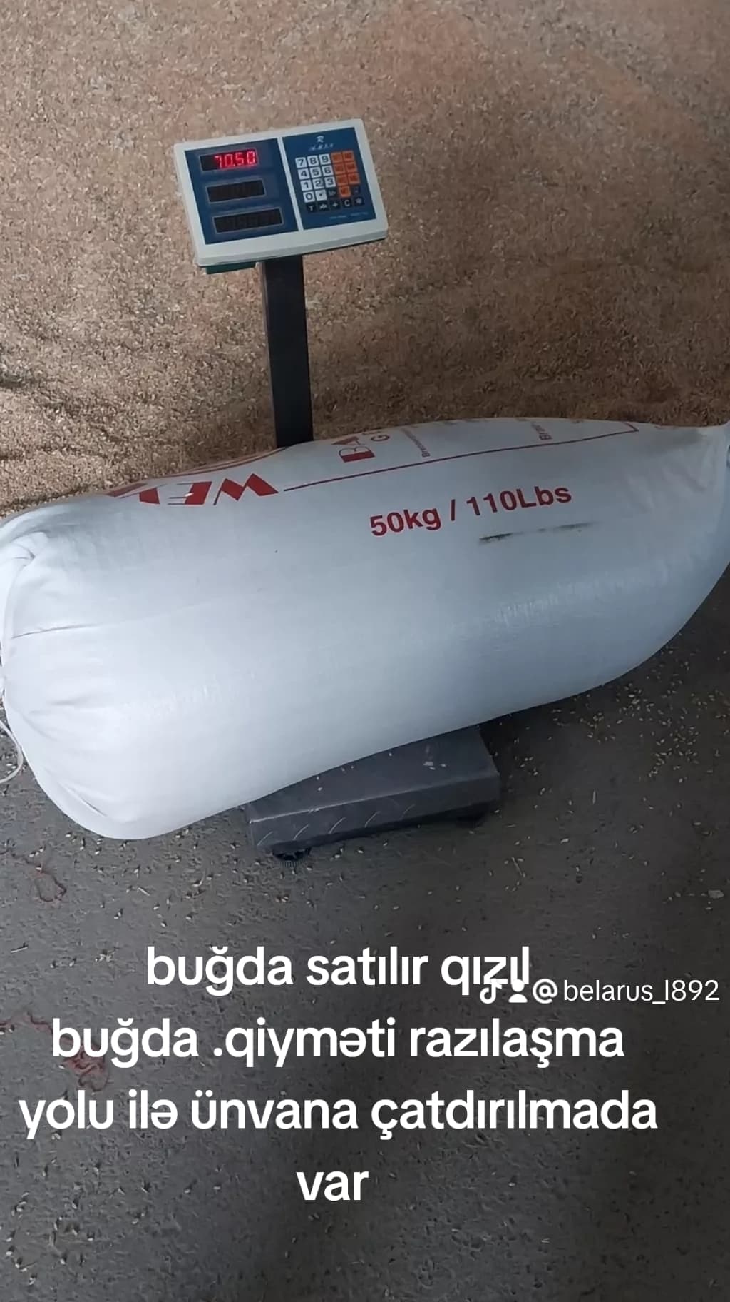 Qızıl buğda