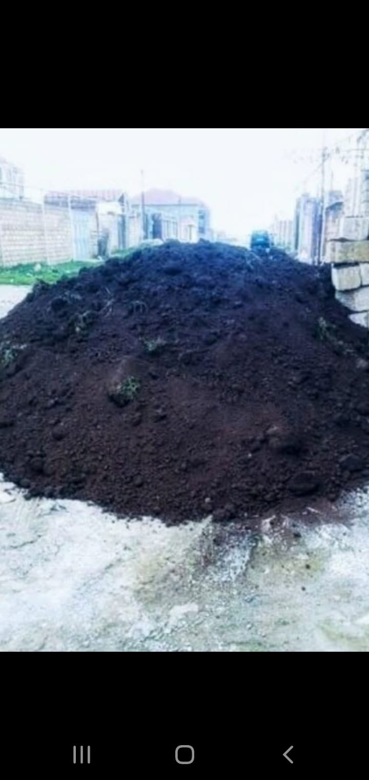 Qara torpaq peyin