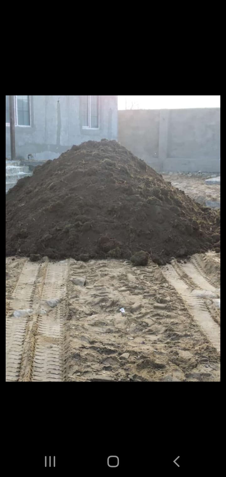 Qara torpaq peyin