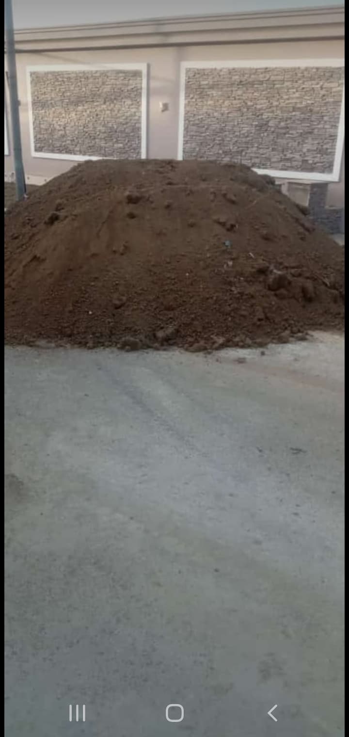 Qara torpaq peyin