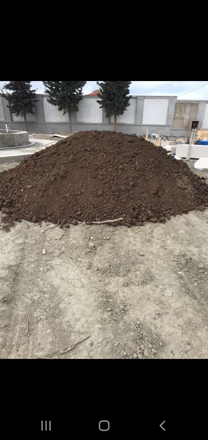 Qara torpaq peyin