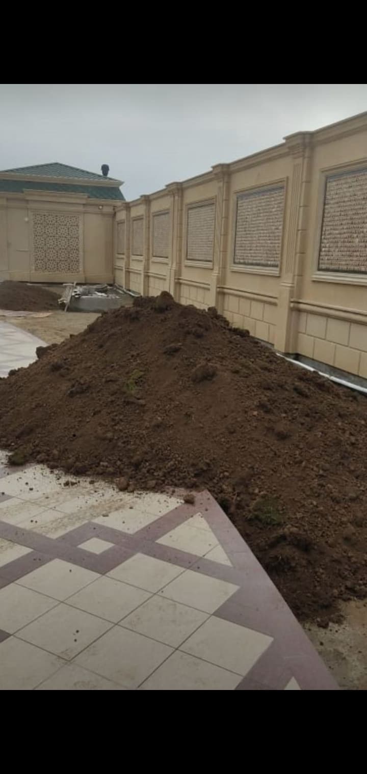 Qara torpaq peyin