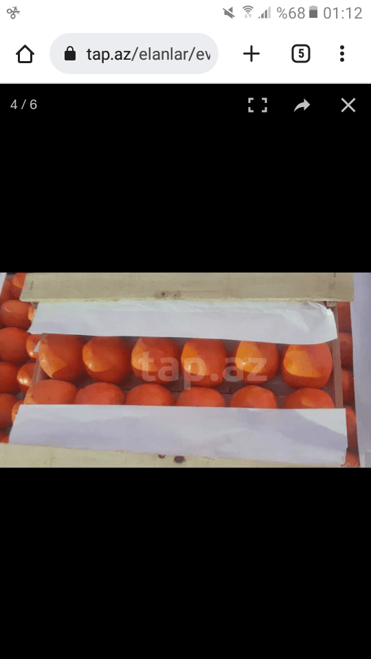 Xurma