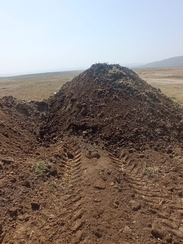 Qara torpaq
