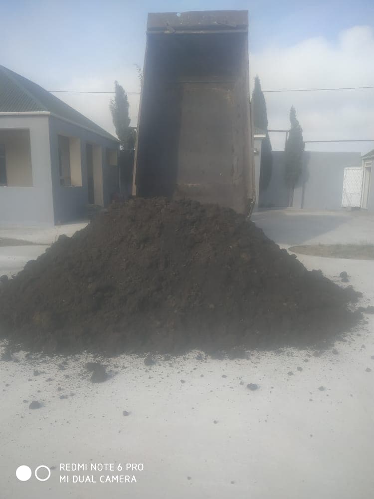 Qara torpaq