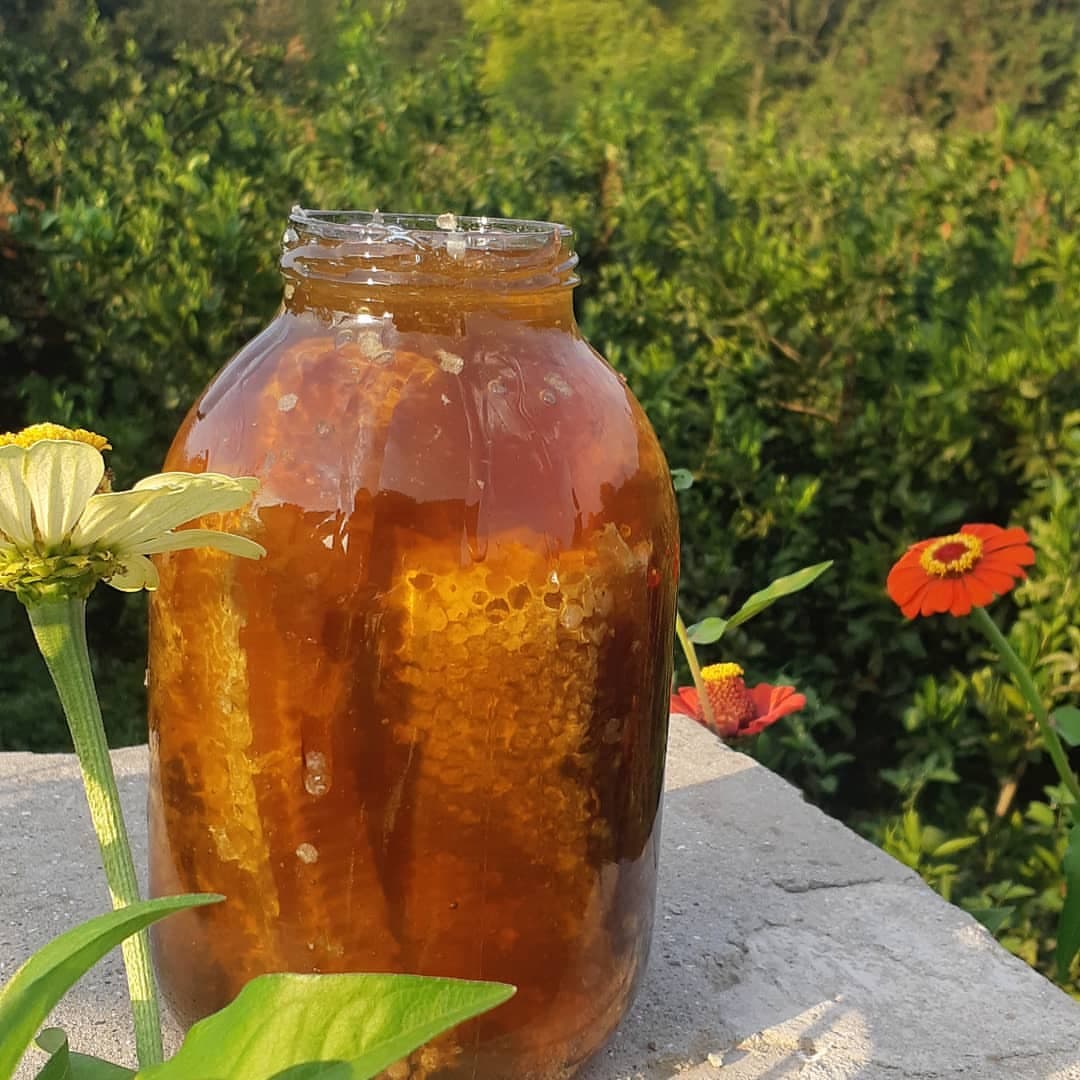 Təmiz Balakən balı