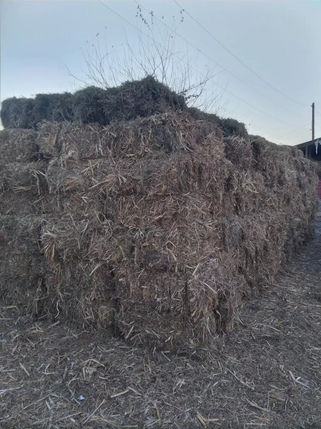Ot bağlaması