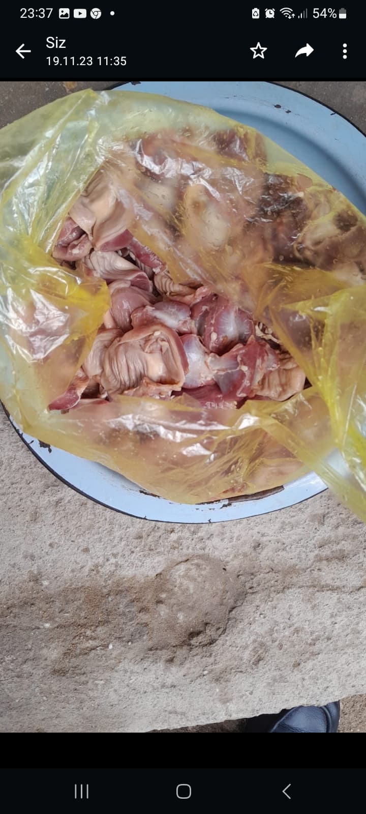 Təmizlənmiş pətənəy