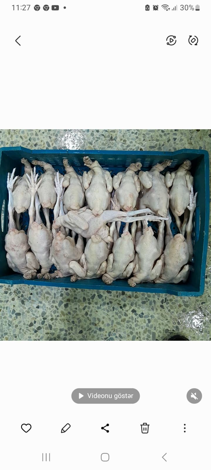 Kənd çolpası
