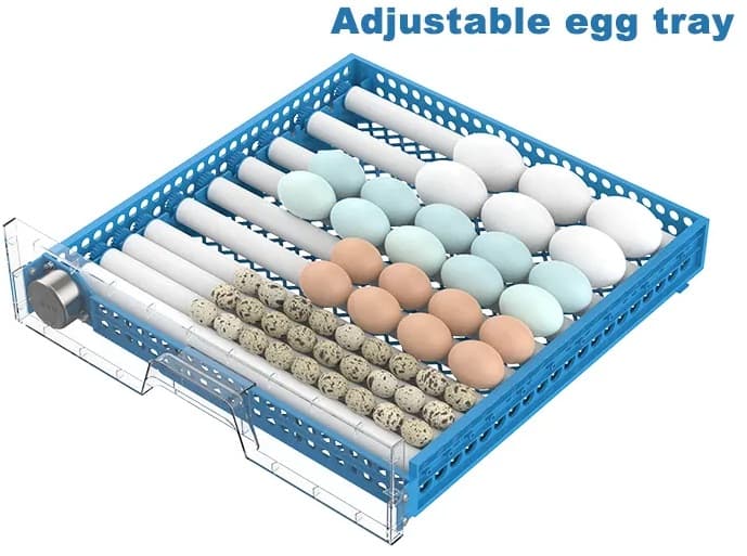 48 yumurtalıq tam avtomat inkubator