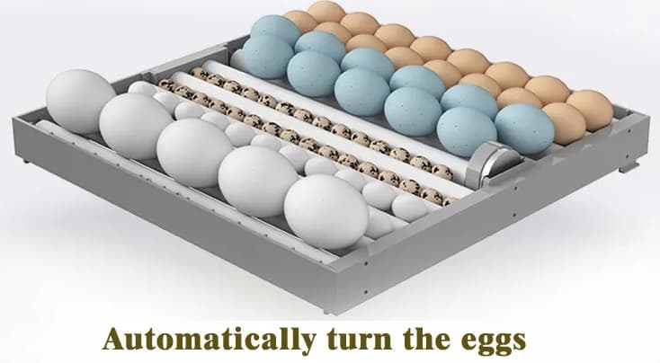 64 yumurtalı tam avtomat inkibator