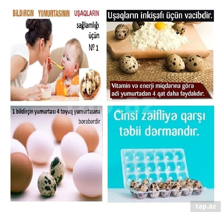Bildircin yumurtasi satılır