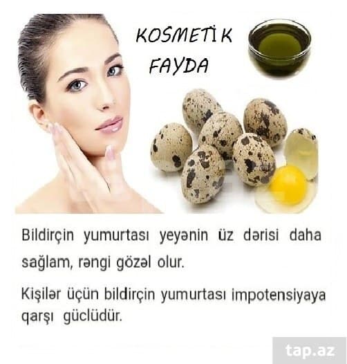 Bildircin yumurtasi satılır