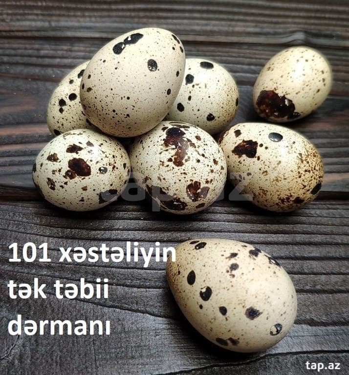 Bildircin yumurtasi satılır