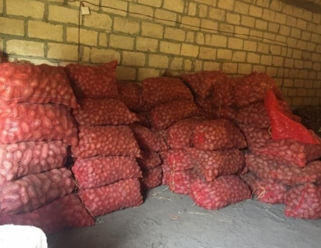 Hər növ kartofun satışı