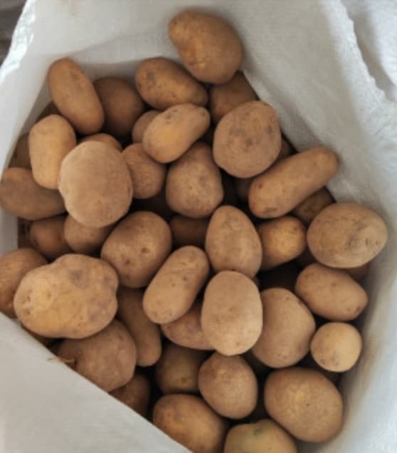 Hər növ kartofun satışı