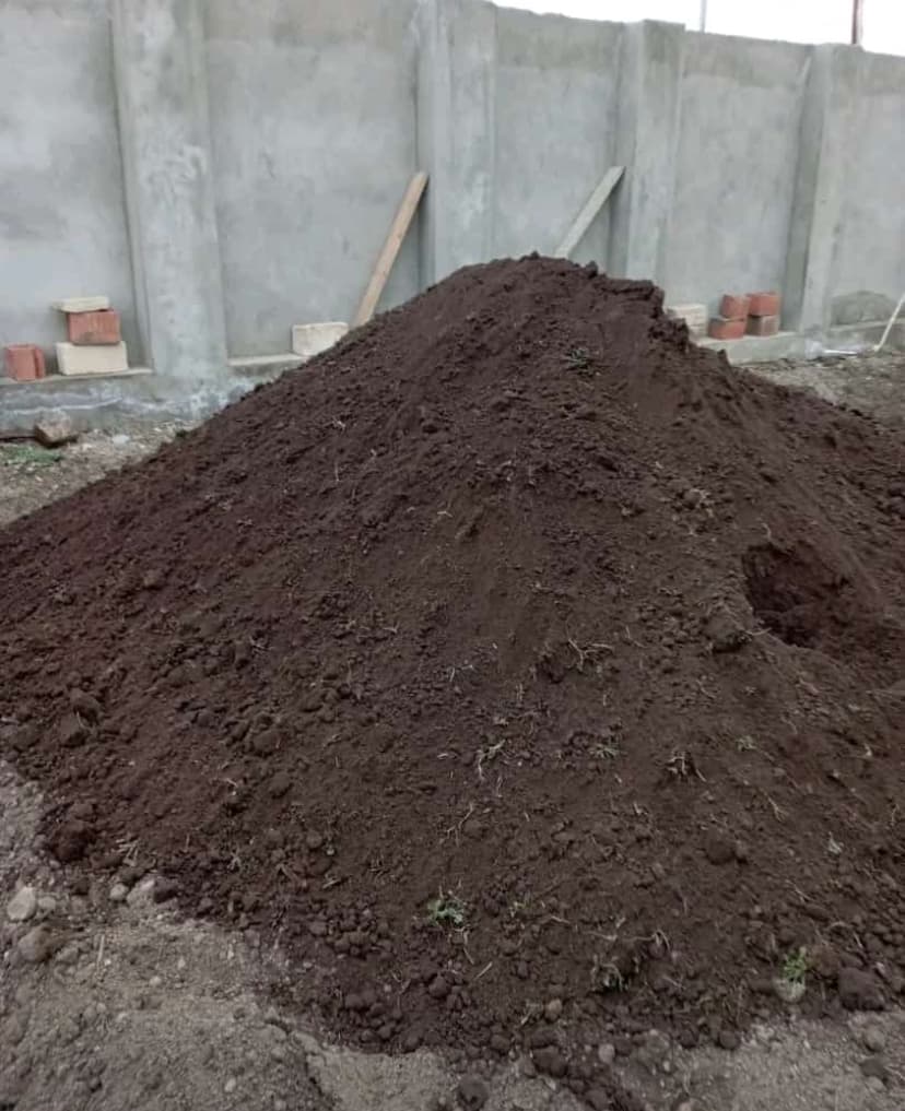 Meşə torpağı