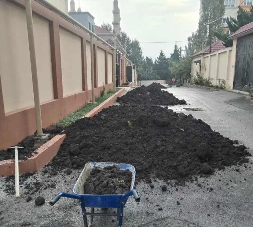 Meşə torpağı