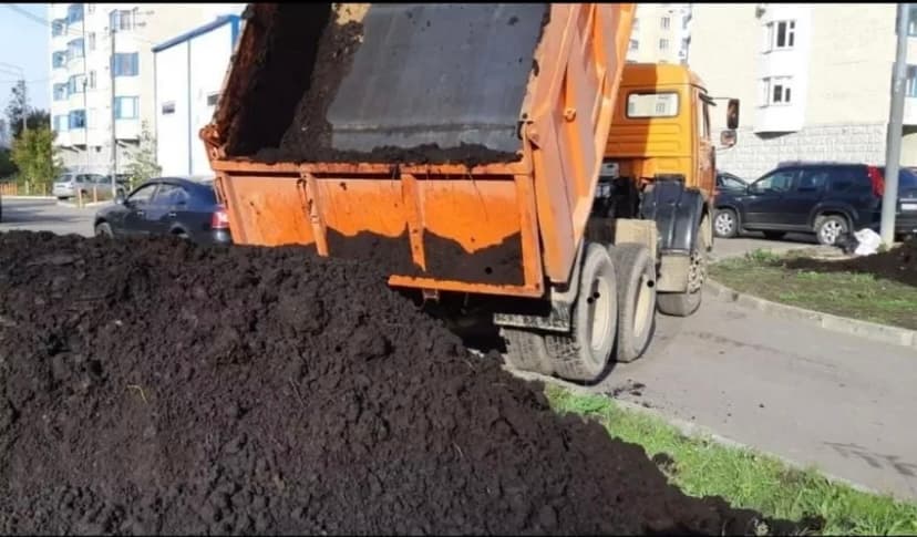 Meşə torpağı