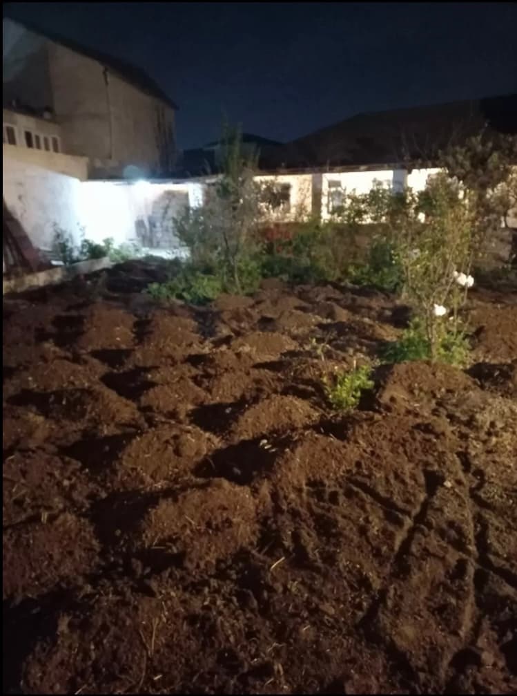 Meşə torpağı