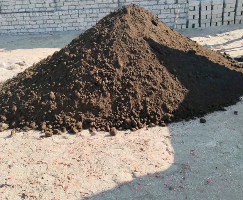 Meşə torpağı