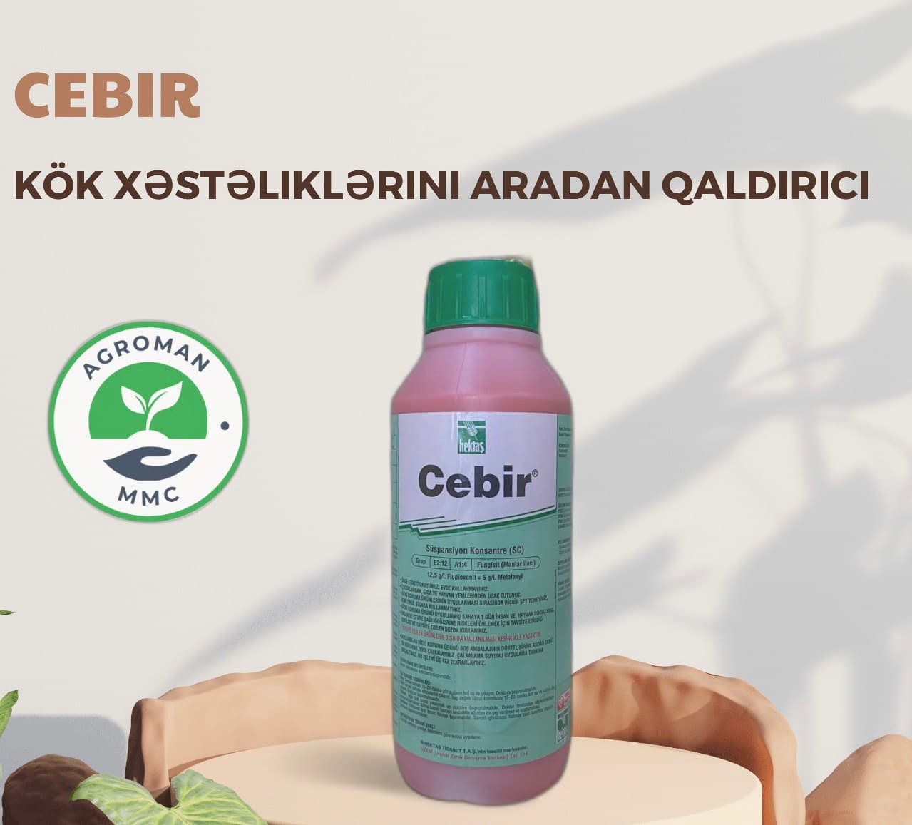 Cebir (kök xəstliklərinə qarşı)