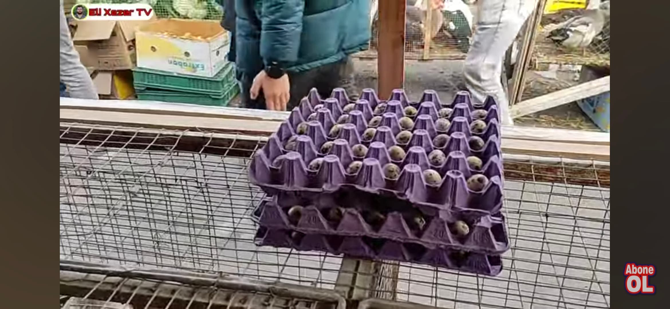 Qırqovul yumurtaları satılır