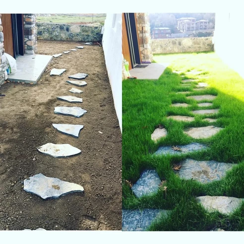 Püskürtmə Çim Azərbaycan Qazon