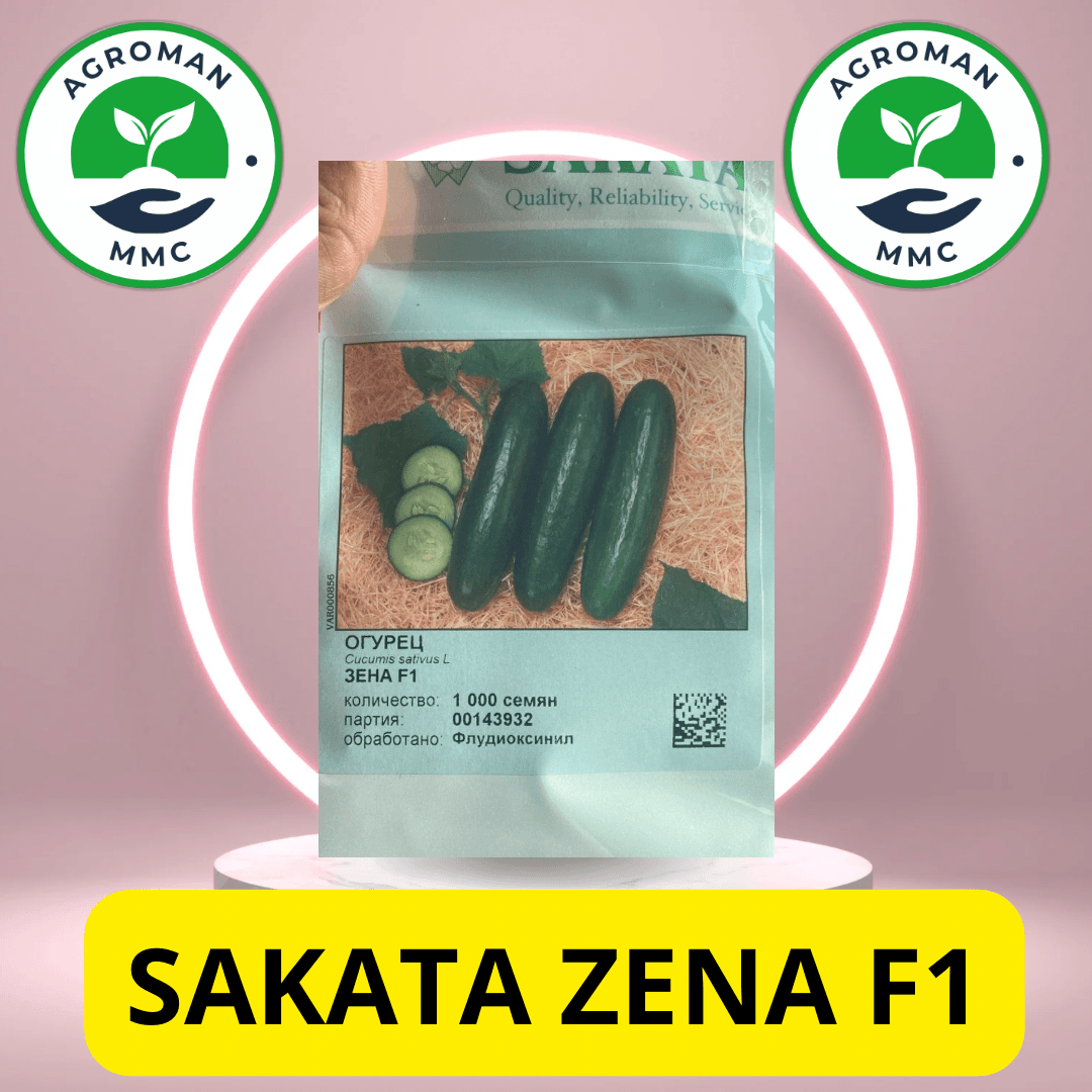 Sakata zena f1