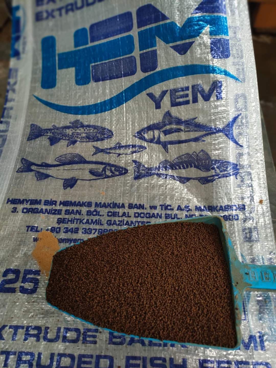 Balıq yemləri