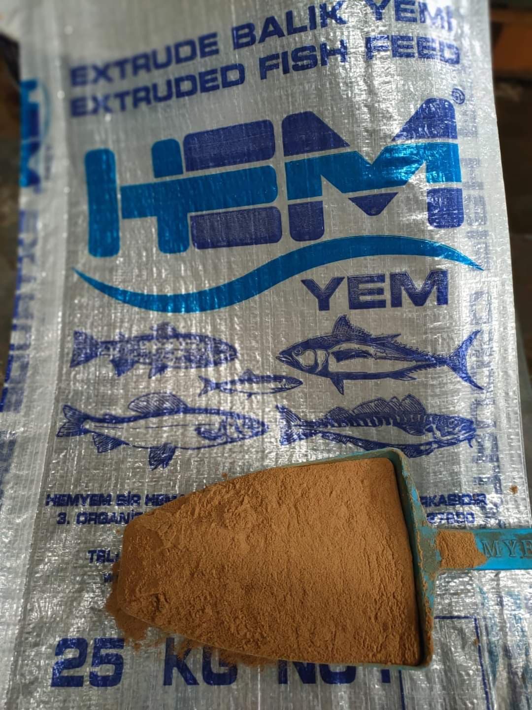 Balıq yemləri