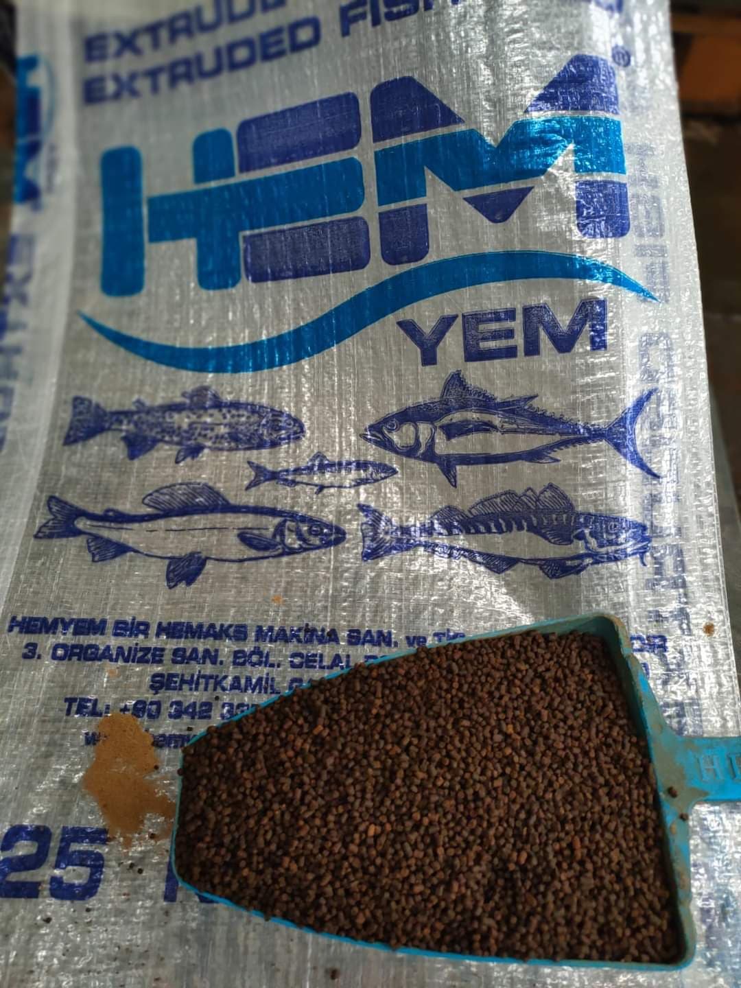 Balıq yemləri