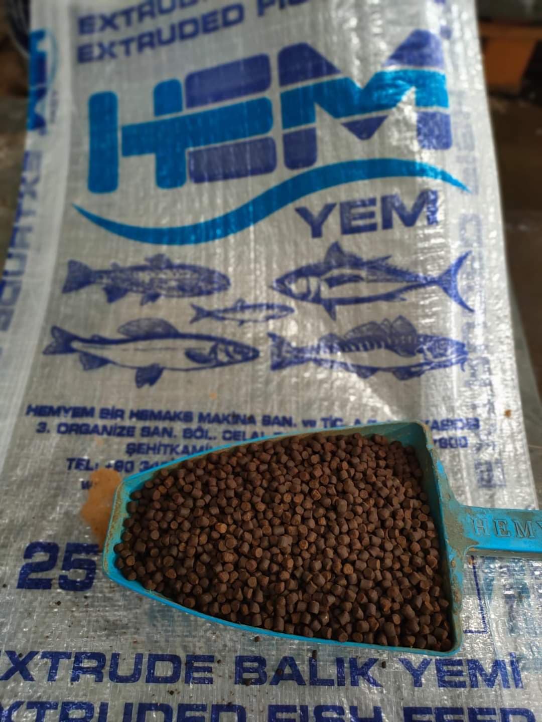 Balıq yemləri