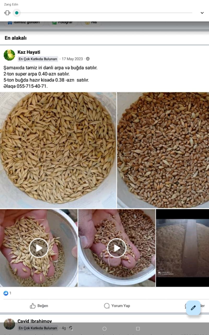 Arpa və buğda satılır