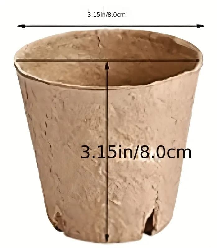 Çürüyən toxum qabları