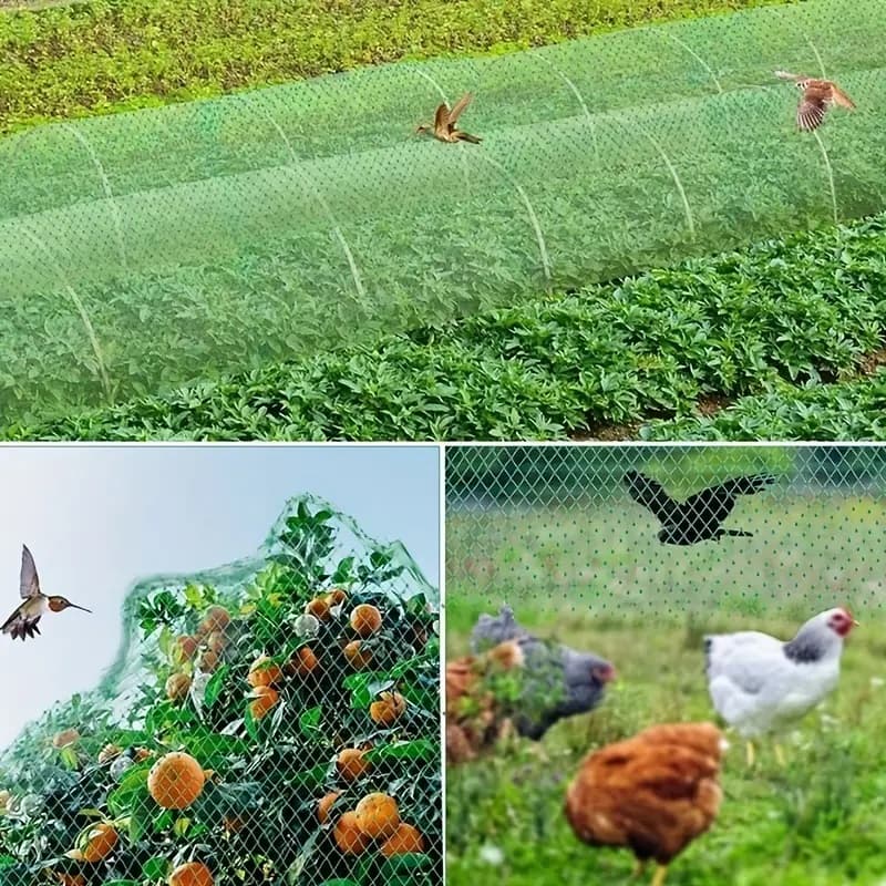 Quş və həşəratlardan qoruma torları