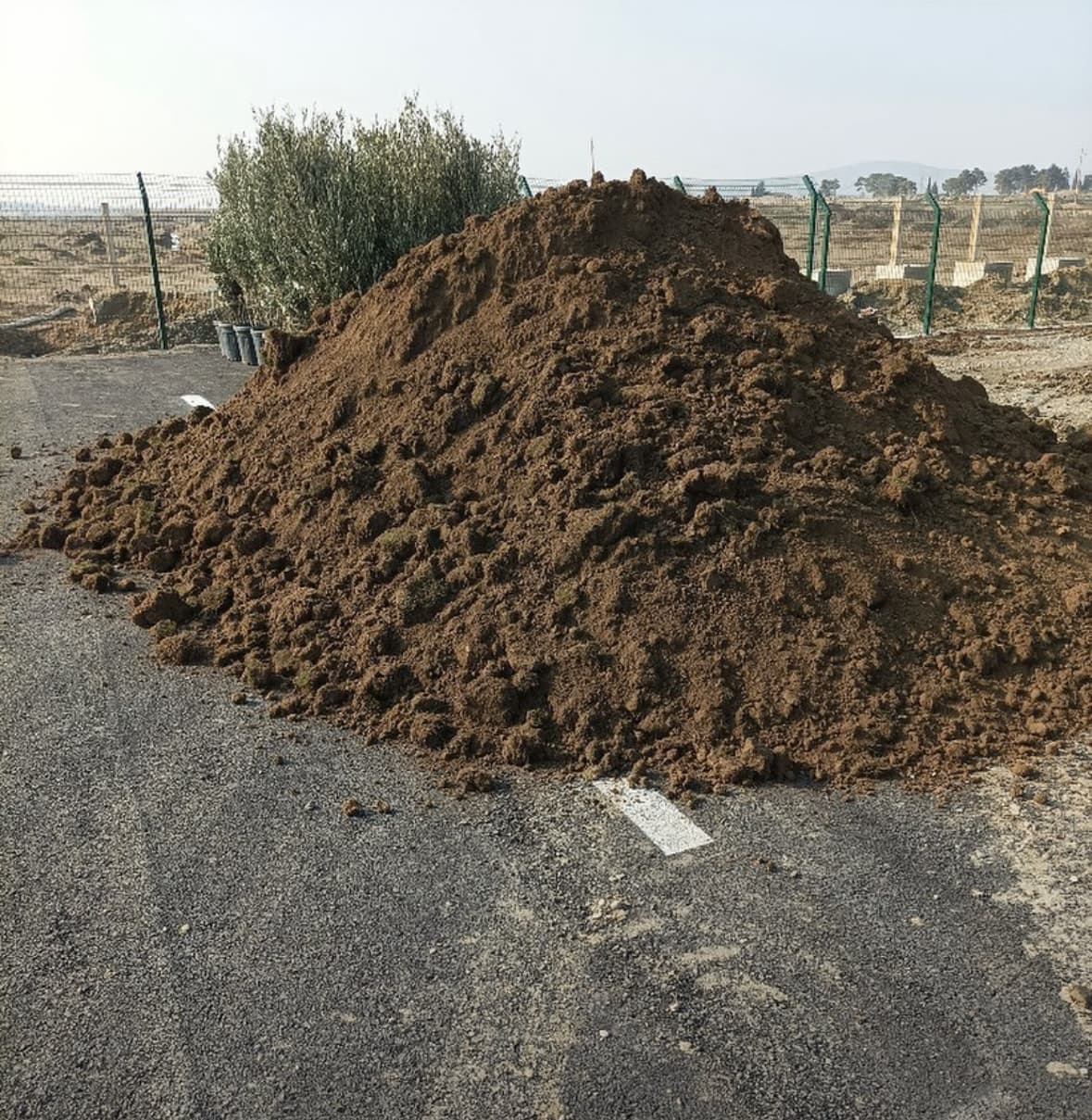 Qara Torpaq