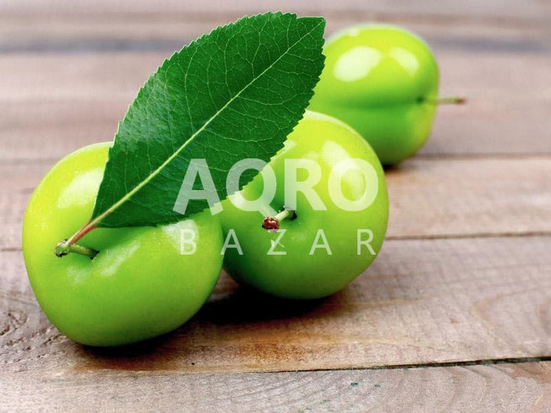Göycə alçası