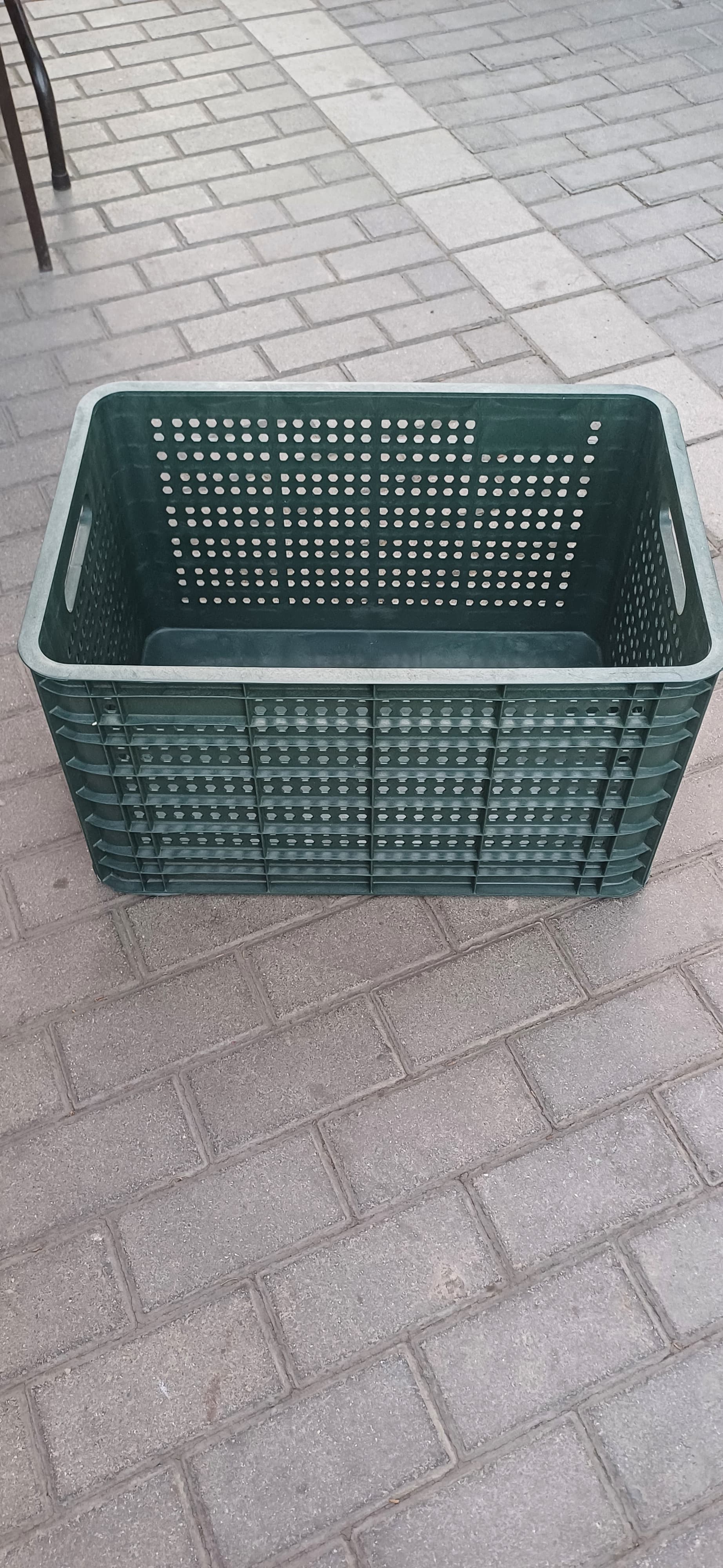 Plastik yesik