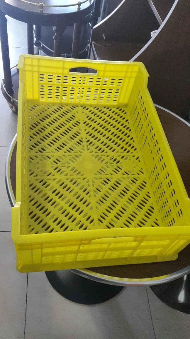 Plastik yesik