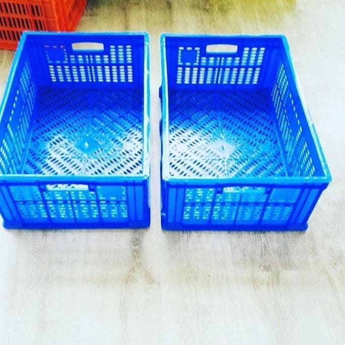 Plastik yesik
