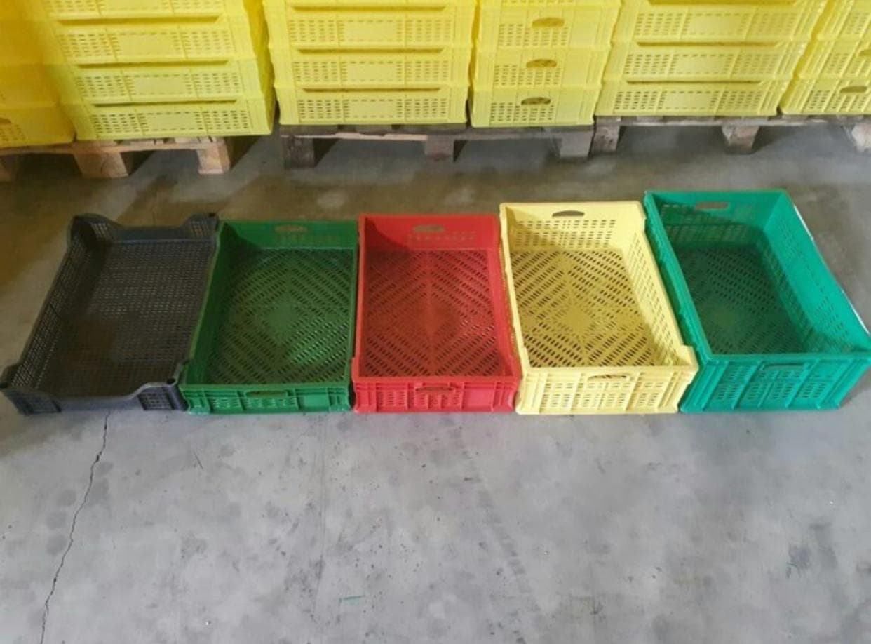 Plastik yesik
