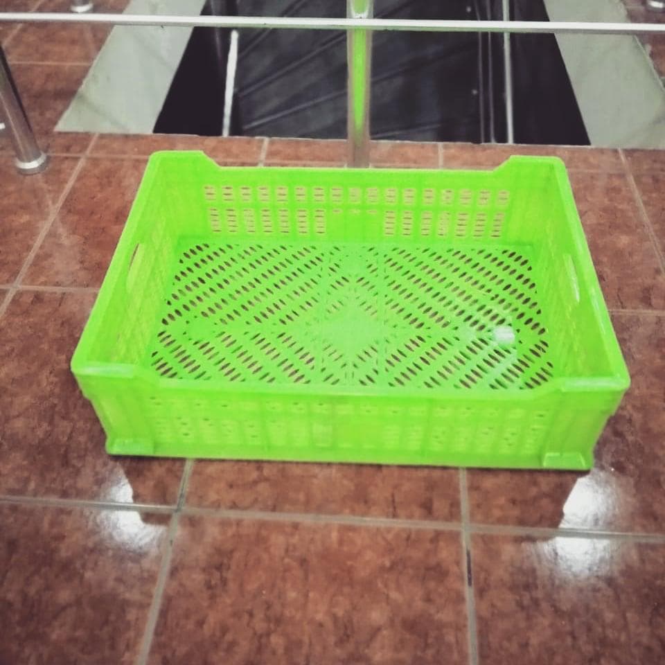 Plastik yesik