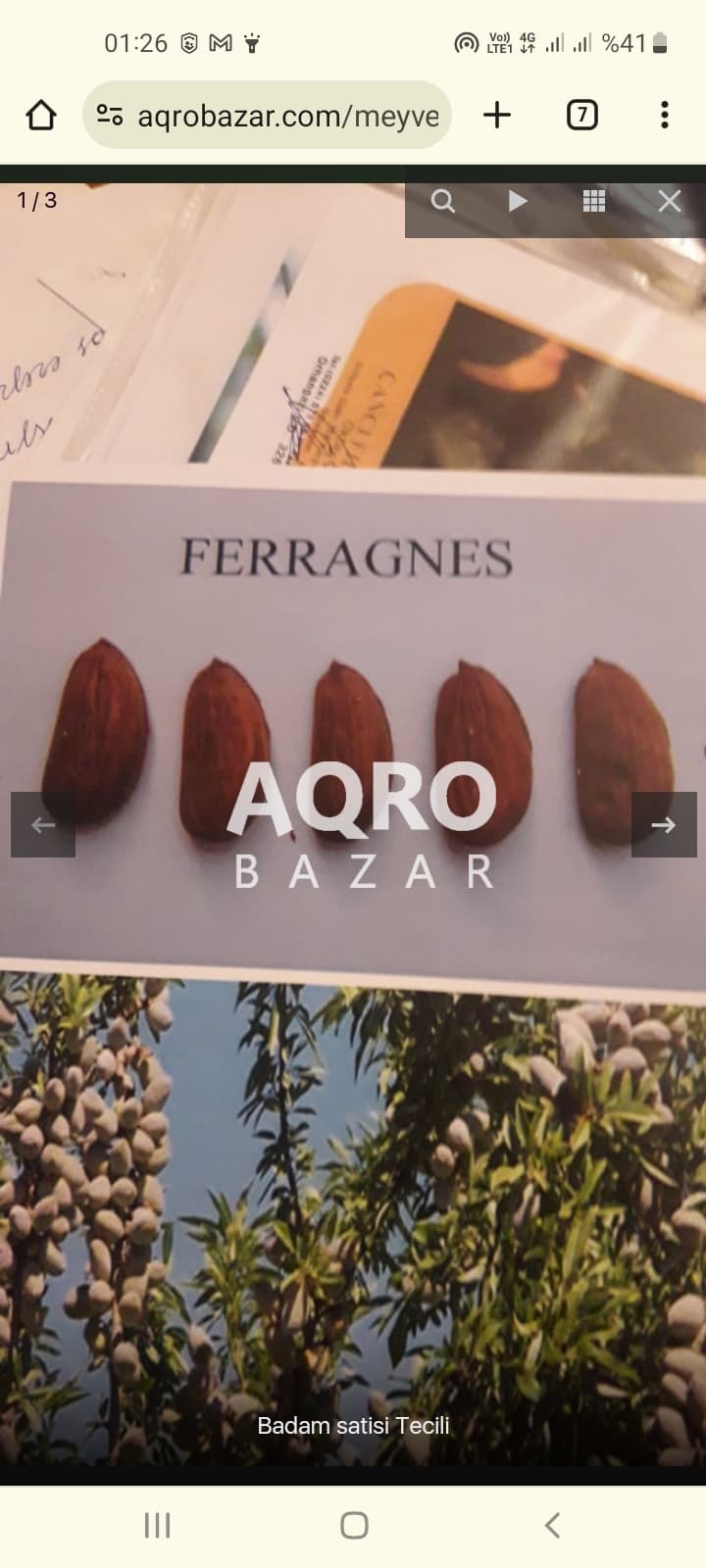 Yeni badam