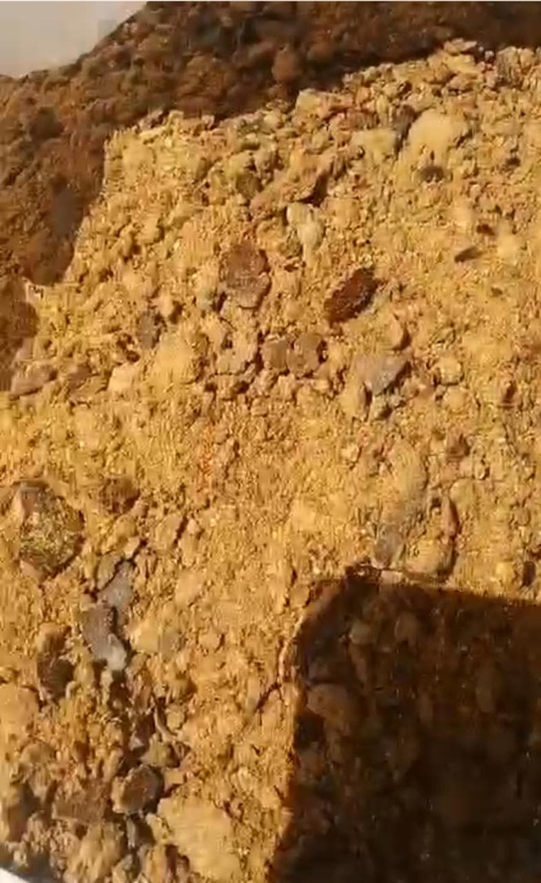 Qarğıdalı özəyinin Jımıxı
