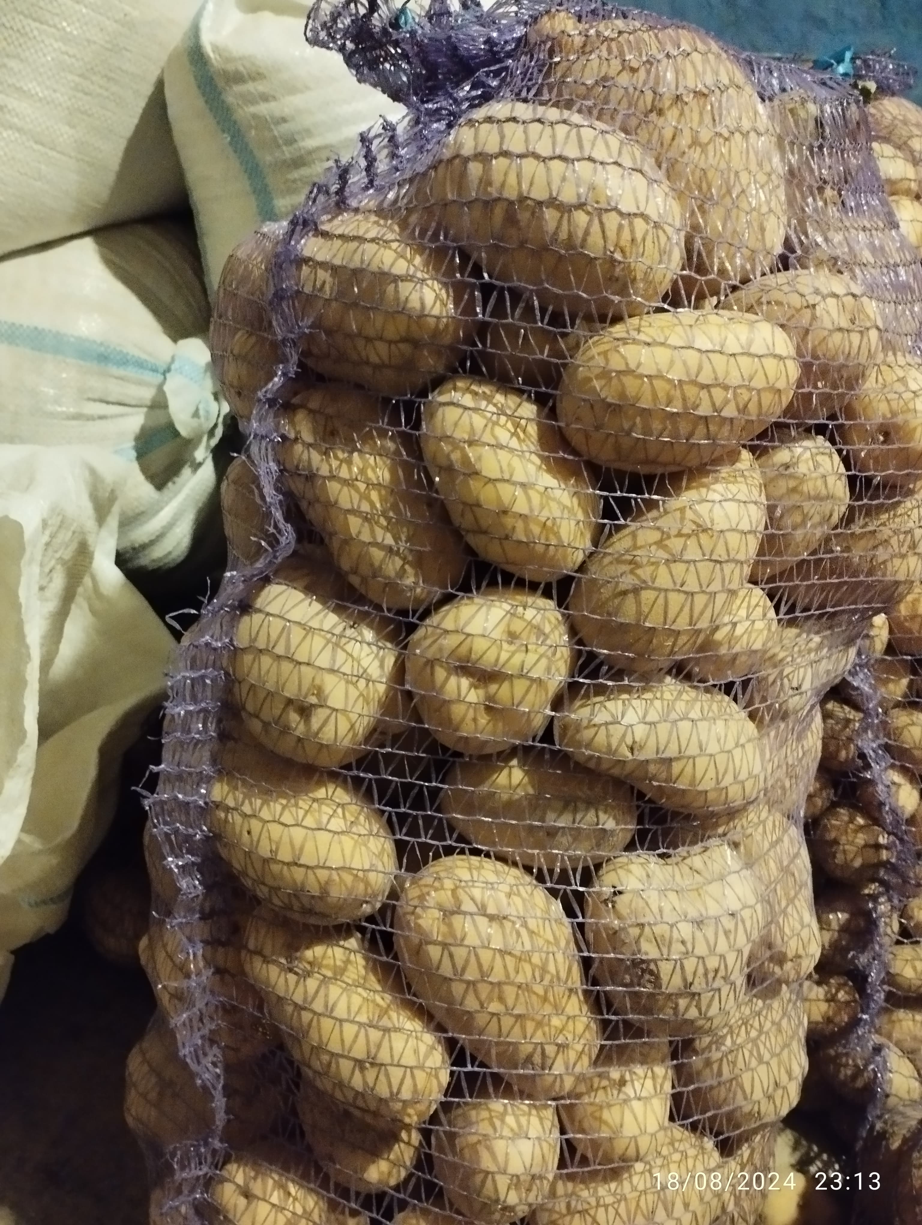 Dərmansız Quba kartofu