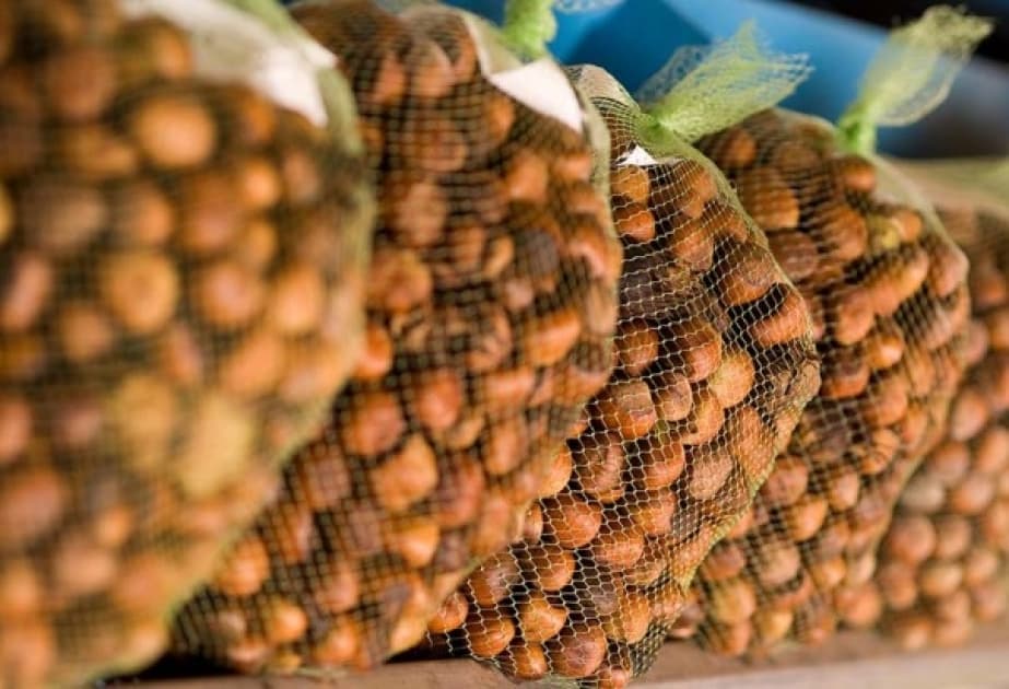 Atababa fındığı (Qəbələ)